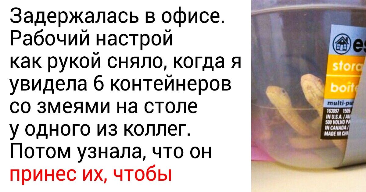 15+ историй о «слегка» фриковатых коллегах, которые есть у каждого из нас 15+ историй о «слегка» фриковатых коллегах, которые есть у каждого из нас