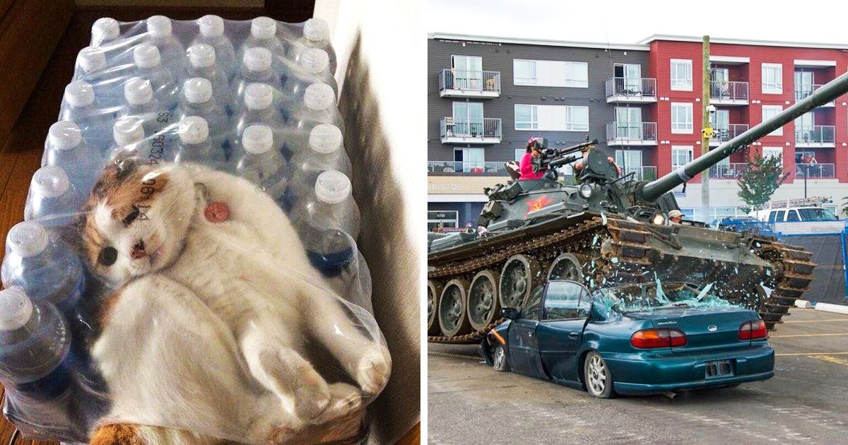 15 доказательств того, что даже самый обычный день может стать абсолютно непредсказуемым