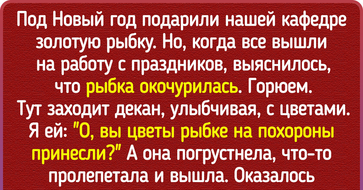 15+ человек, которые спохватились, да поздно — фарш уже не провернуть назад