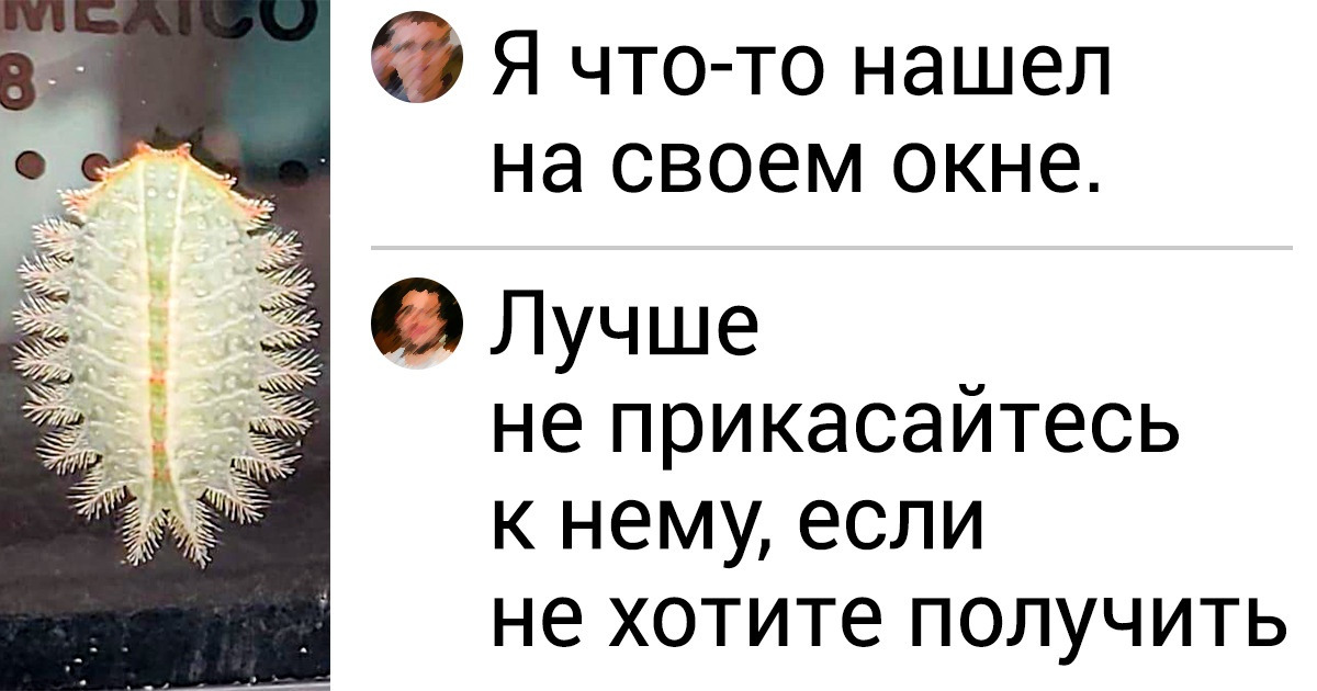 16 необъяснимых фото, в которых, как оказалось, нет ничего сверхъестественного 16 необъяснимых фото, в которых, как оказалось, нет ничего сверхъестественного
