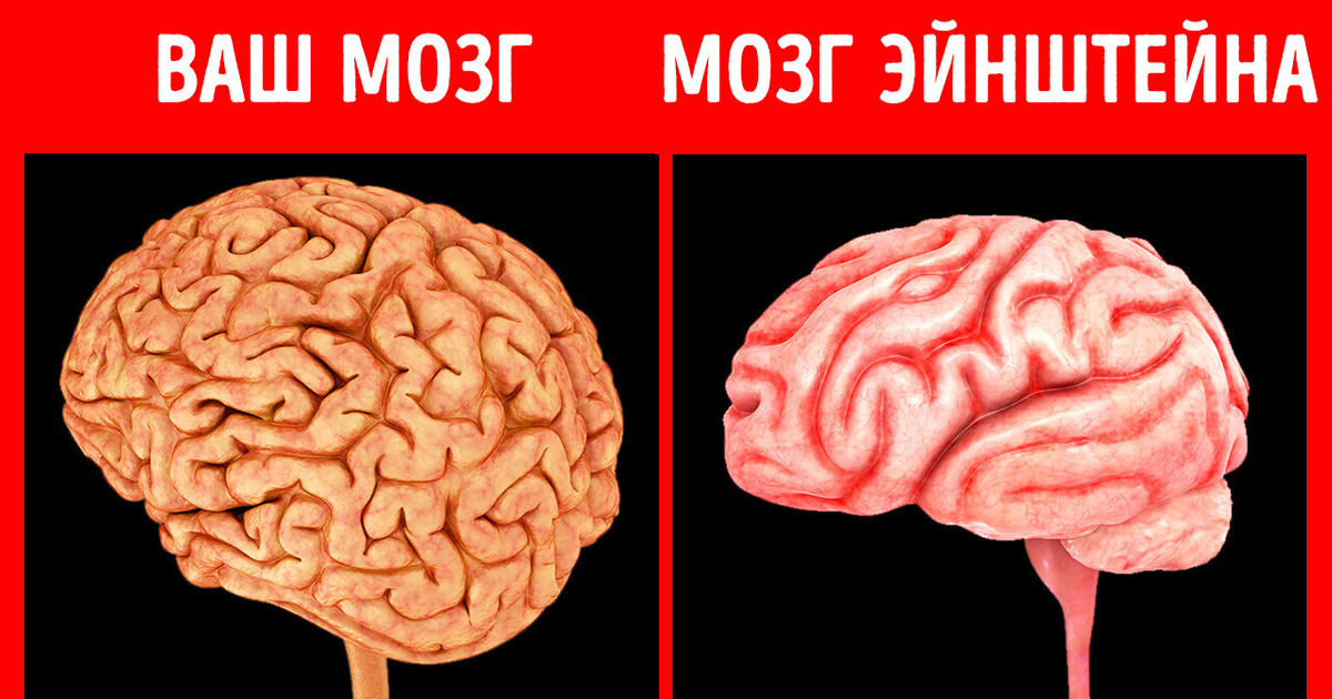 Непонятные явления, которые Эйнштейн превратил в крупные открытия Непонятные явления, которые Эйнштейн превратил в крупные открытия