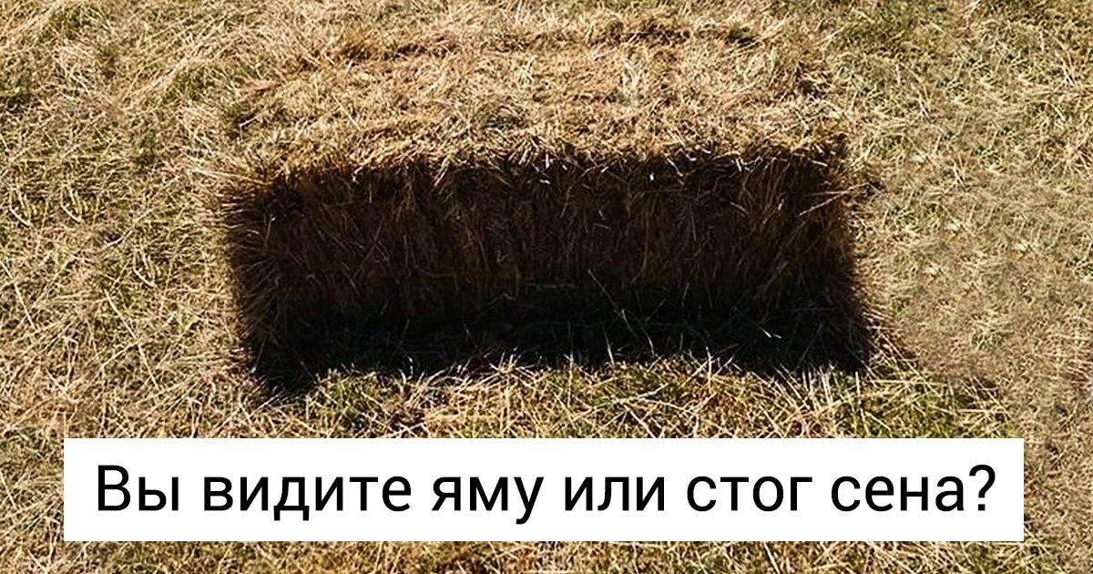 20+ фото, на которых все сложилось так, что лучше и не придумаешь 20+ фото, на которых все сложилось так, что лучше и не придумаешь