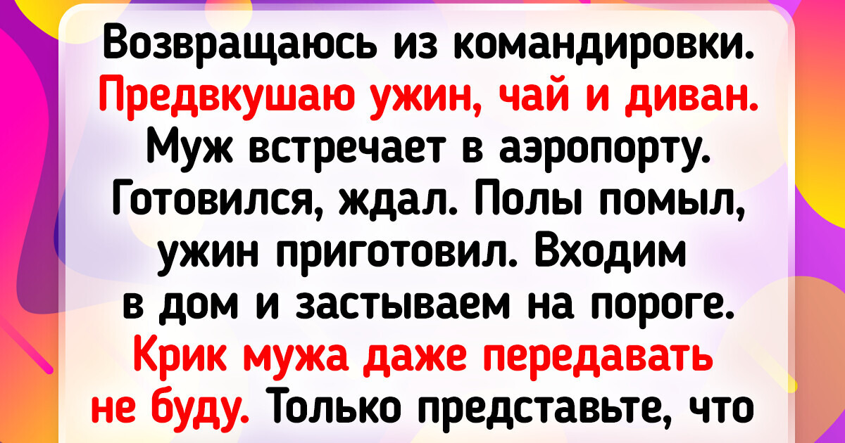 15+ четвероногих сорванцов, жизнь с которыми полна неожиданностей 15+ четвероногих сорванцов, жизнь с которыми полна неожиданностей