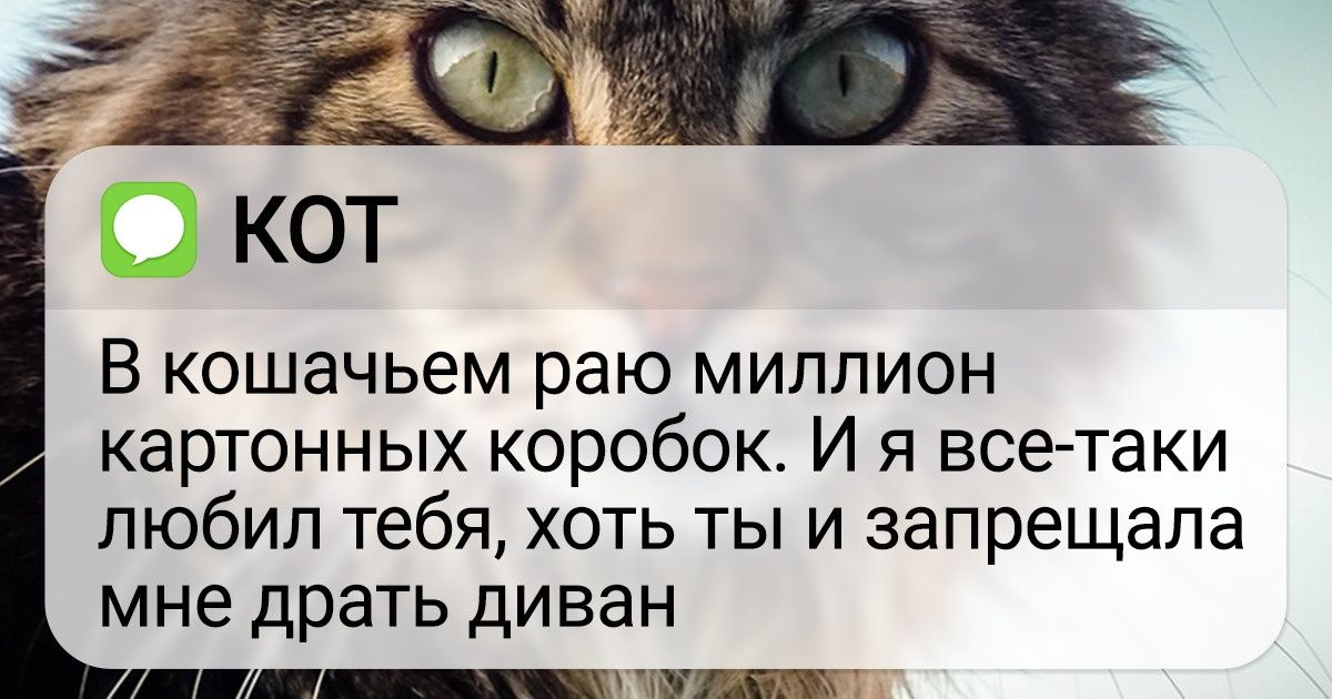 14 пронзительных СМС, которые хотел бы получить каждый из нас 14 пронзительных СМС, которые хотел бы получить каждый из нас
