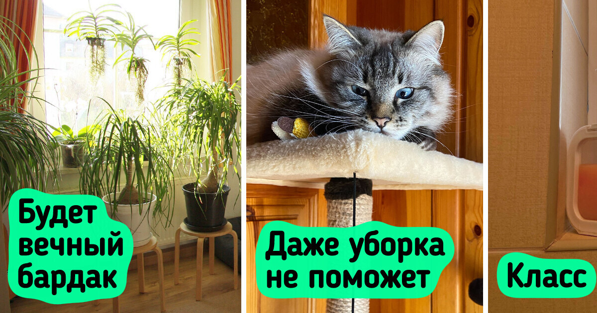 13 мелочей, из-за которых даже убранная квартира будет выглядеть неряшливо 13 мелочей, из-за которых даже убранная квартира будет выглядеть неряшливо