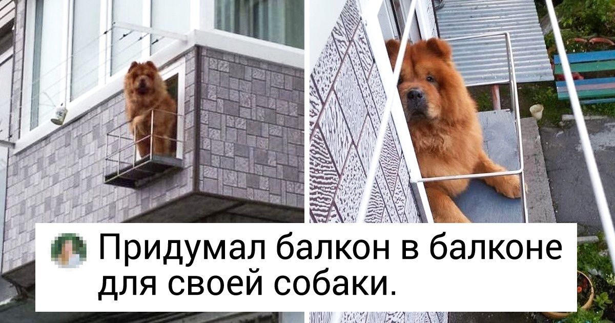 15 фотографий, которые докажут, что нет предела людской изобретательности