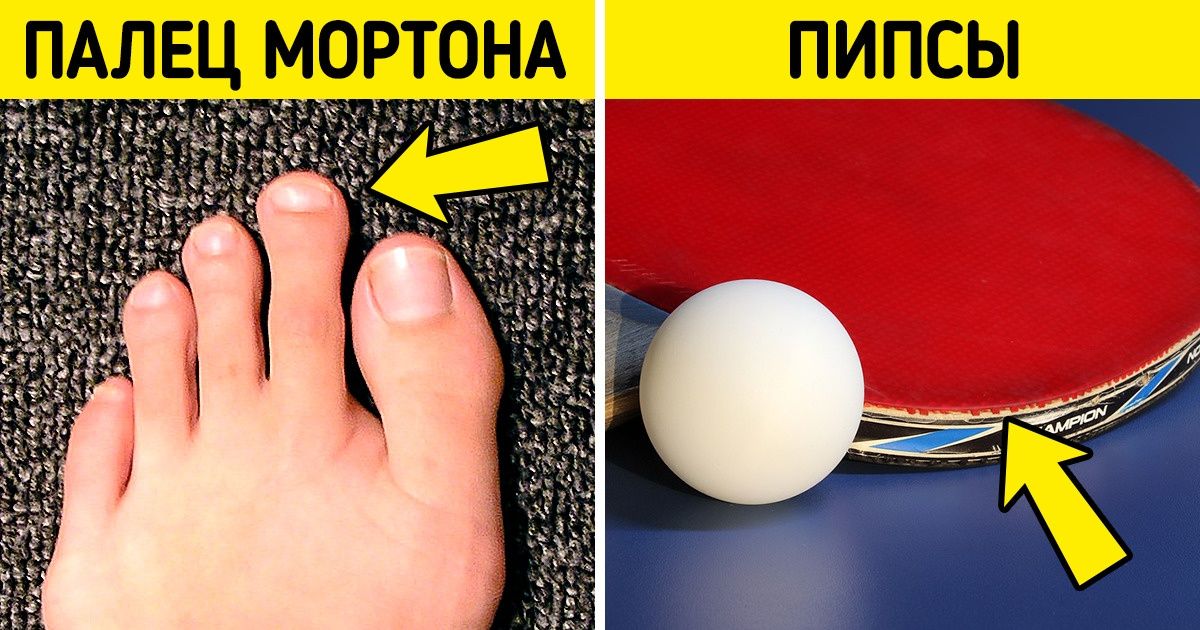 15 привычных нам вещей, у которых есть название, а мы и не знали 15 привычных нам вещей, у которых есть название, а мы и не знали