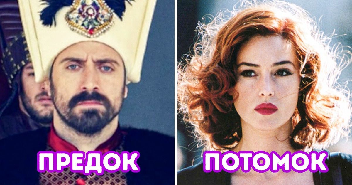 10+ народов, которые нашли настолько неожиданных родственников, что это порушило нашу картину мира 10+ народов, которые нашли настолько неожиданных родственников, что это порушило нашу картину мира