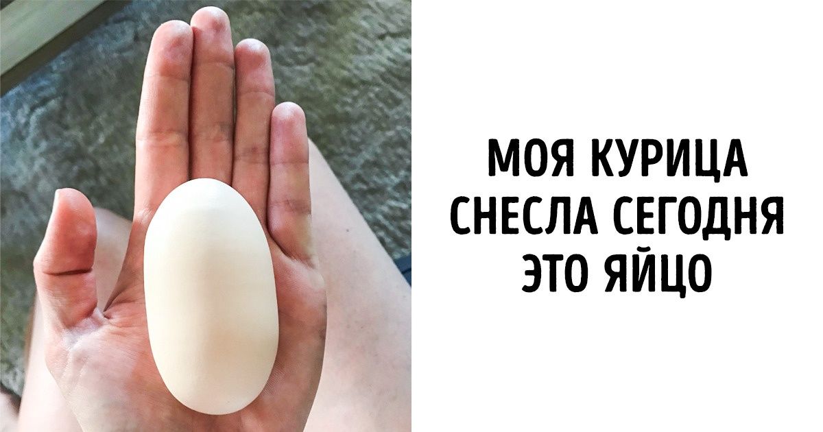 20+ редких снимков, которые расскажут вам больше десятка статей в «Википедии» 20+ редких снимков, которые расскажут вам больше десятка статей в «Википедии»