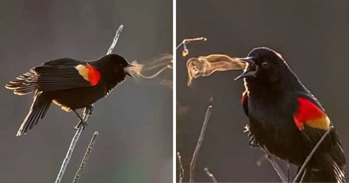 20+ фактов о природе, которые впечатлят даже тех, кто прочел массу энциклопедий