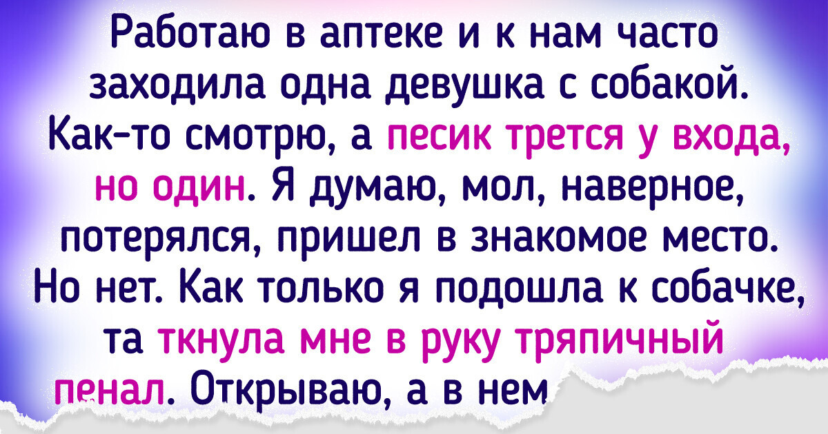 20+ животных, которые без проблем прошли бы тест на интеллект 20+ животных, которые без проблем прошли бы тест на интеллект