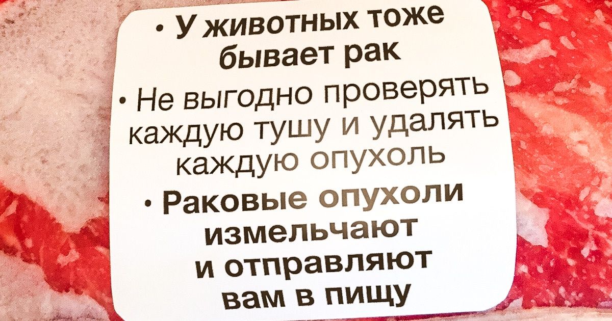 Животные тоже болеют раком. Ученые рассказали, как это может повлиять на наше питание Животные тоже болеют раком. Ученые рассказали, как это может повлиять на наше питание