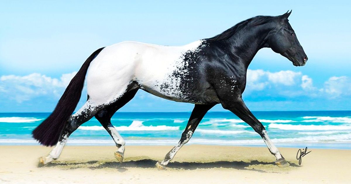 15 настолько редких животных, что в их существование непросто поверить 15 настолько редких животных, что в их существование непросто поверить