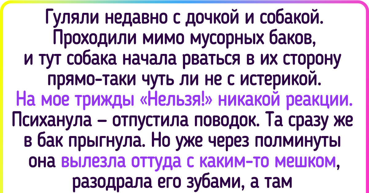 16 животных, которые считают своей обязанностью чудить каждый день 16 животных, которые считают своей обязанностью чудить каждый день