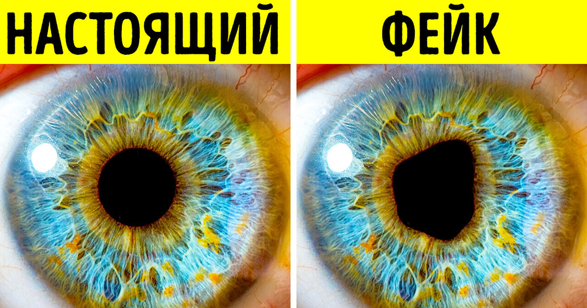 Узнайте, настоящий ли человек перед вами, заглянув ему в глаза Узнайте, настоящий ли человек перед вами, заглянув ему в глаза
