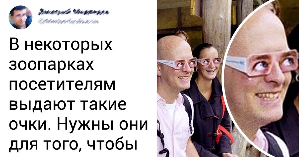 17 фактов о животных, узнав которые останется только аккуратно подобрать свою челюсть с пола 17 фактов о животных, узнав которые останется только аккуратно подобрать свою челюсть с пола