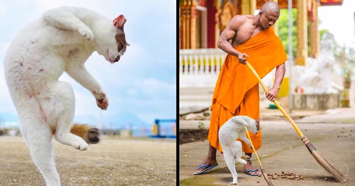 15 обыкновенных фотографий, которым добавили пару штрихов и сделали из них бомбу