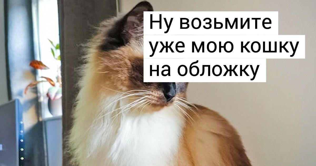 17 фотогеничных животных, которые могли бы хоть сейчас подписать контракт с Vogue