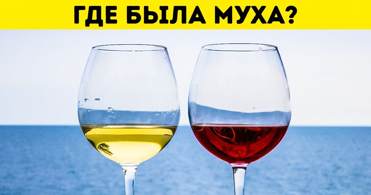 Человек-козел и «коты — это жидкость». Посмотрите на самые курьезные номинации Шнобелевской премии