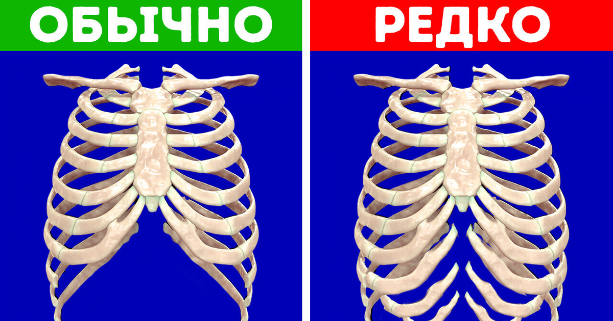 Факты о вашем теле: угадайте, правда это или ложь
