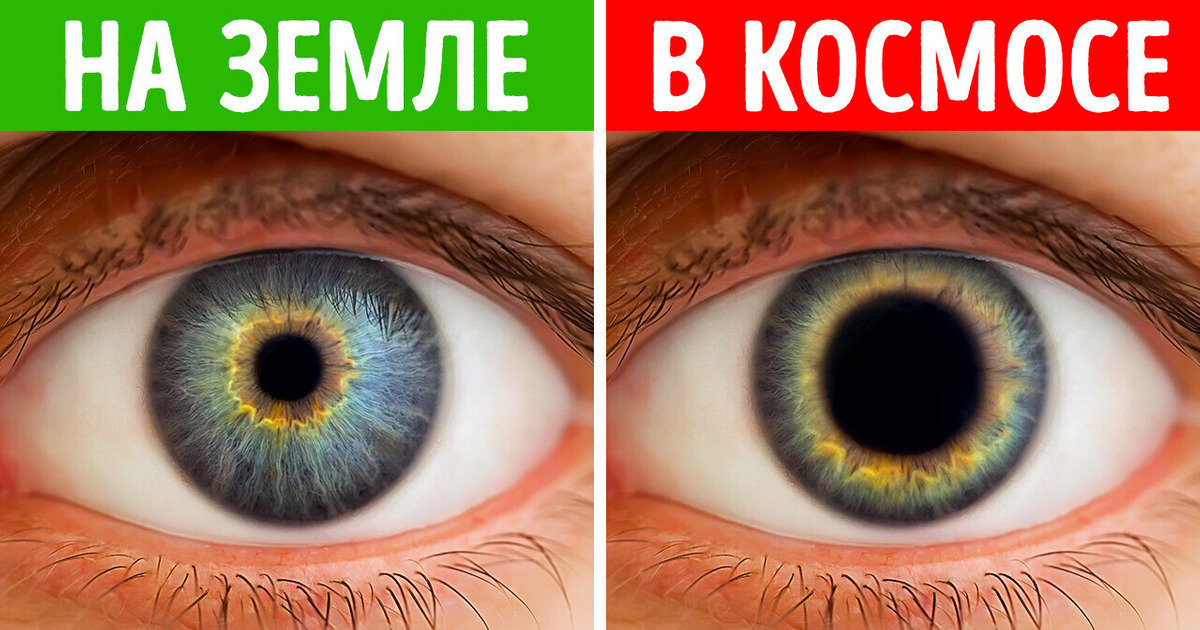 Что, если бы люди жили в космосе миллионы лет? Что, если бы люди жили в космосе миллионы лет?
