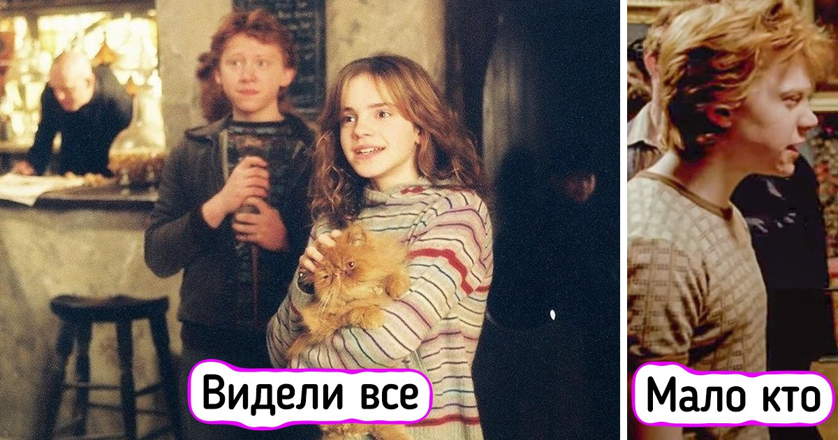 16 сцен из фильмов о Гарри Поттере, которые киношники бессовестно вырезали. А зря, с ними было бы куда круче
