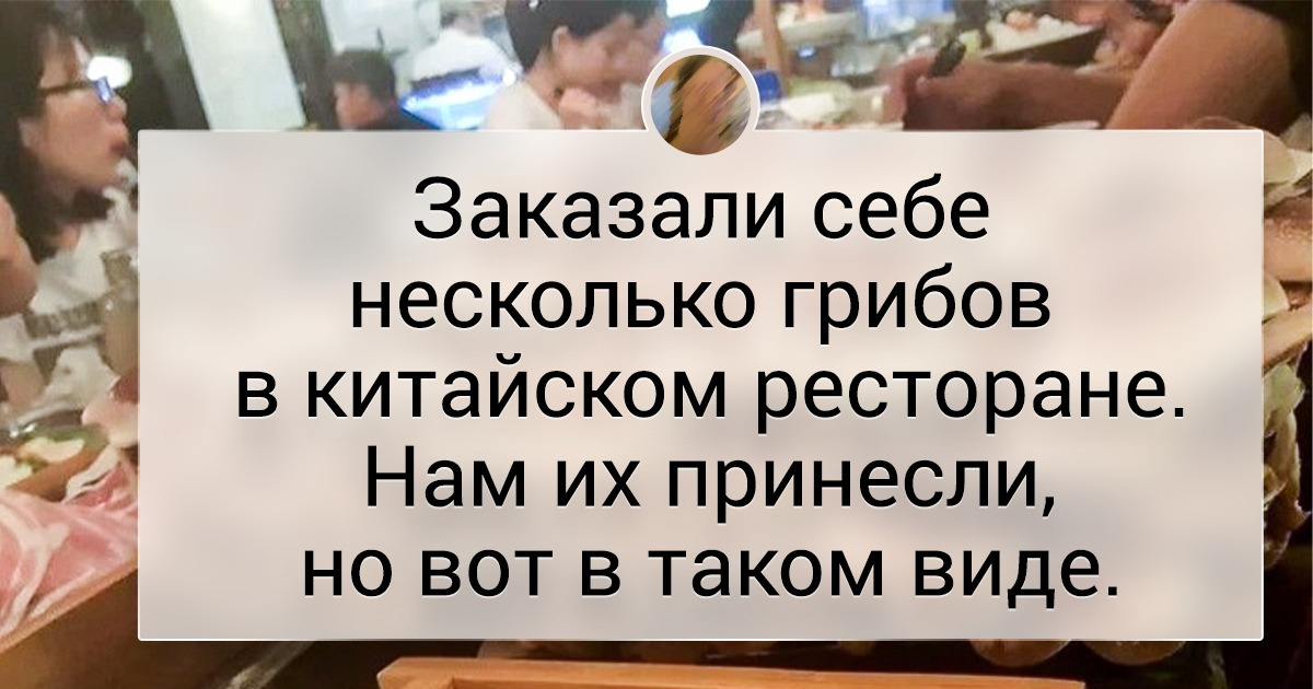 18 разочарованных человек, которым на тарелке принесли блюдо из разряда «я тебя сварила из того, что было» 18 разочарованных человек, которым на тарелке принесли блюдо из разряда «я тебя сварила из того, что было»