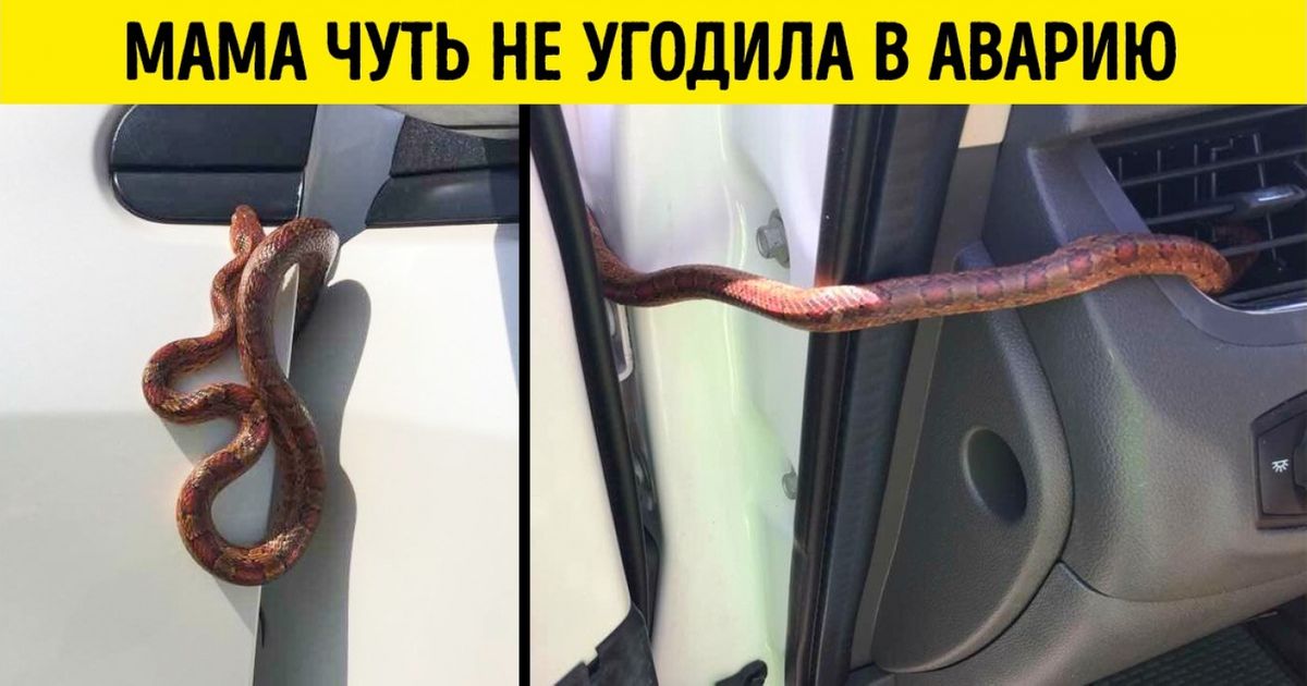 19 фотографий, от которых у кого угодно поджилки затрясутся 19 фотографий, от которых у кого угодно поджилки затрясутся