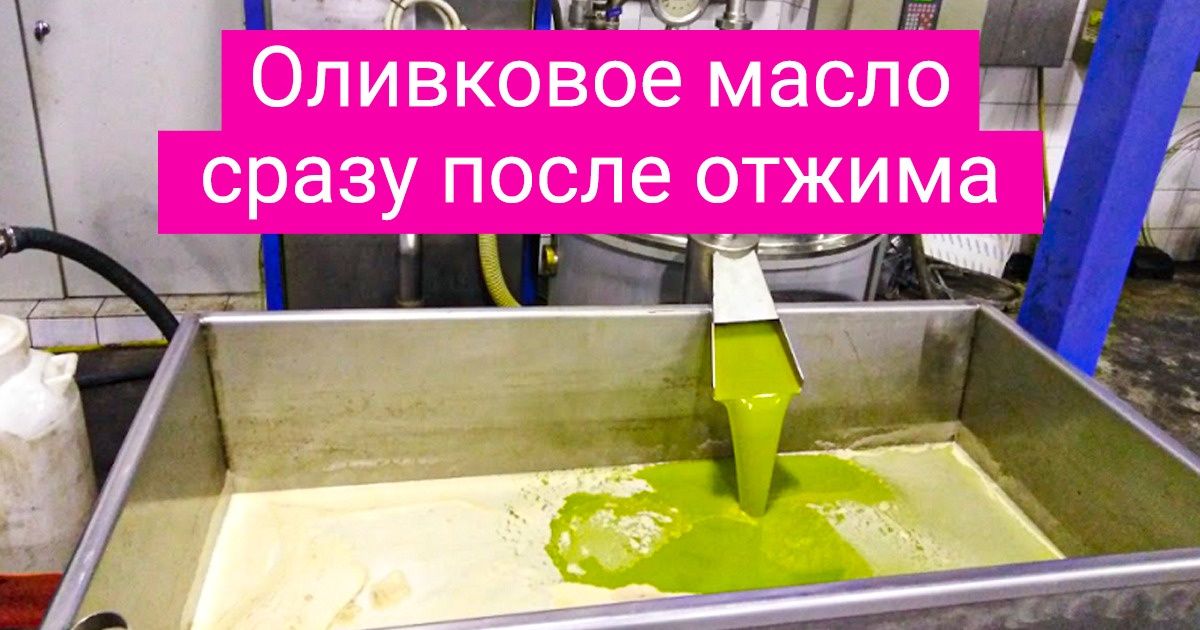 17 фото, которые вмиг объяснят то, о чем в школе пришлось бы читать часами 17 фото, которые вмиг объяснят то, о чем в школе пришлось бы читать часами