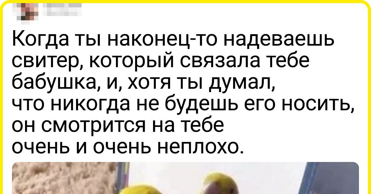 19 человек, которые порхают, как бабочка и жалят, как пчела, придумывая подписи к фото 19 человек, которые порхают, как бабочка и жалят, как пчела, придумывая подписи к фото