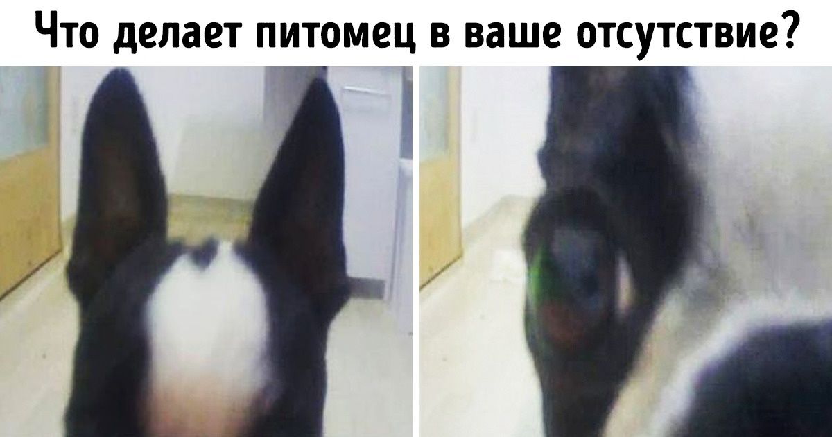 12 причин не выбрасывать старый смартфон, а использовать его по-новому 12 причин не выбрасывать старый смартфон, а использовать его по-новому