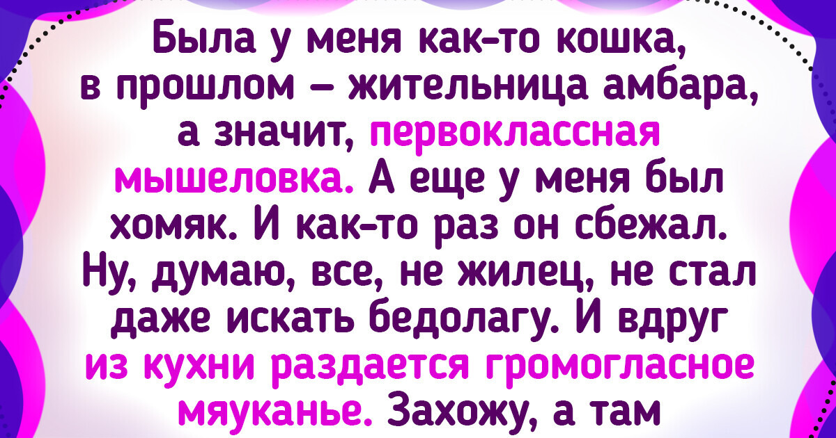 13 человек, у которых с пушистыми друзьями связана не одна клевая история