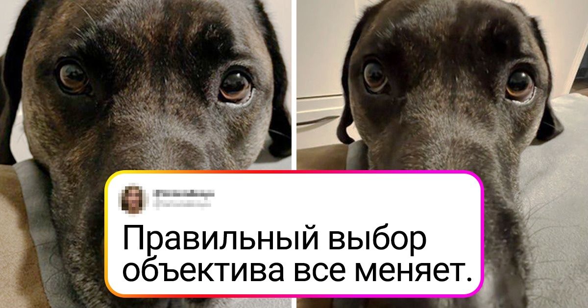 20+ любопытных сравнений, которые освежают мозг лучше прогулки на морозе 20+ любопытных сравнений, которые освежают мозг лучше прогулки на морозе