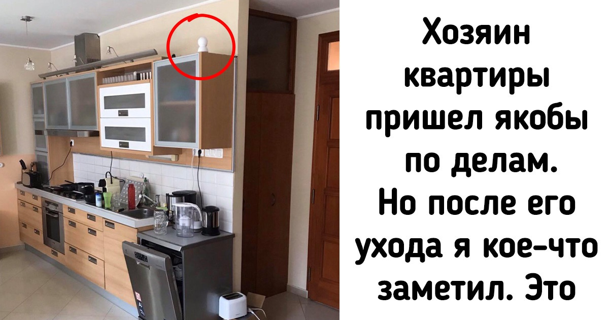 17 бедолаг, которые просто хотели снять жилье, а теперь терпят выкидоны арендодателей