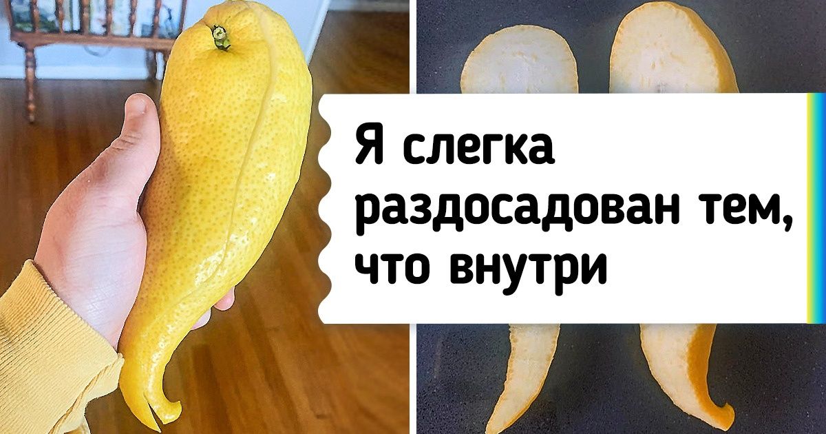 18 человек, которые посадили семечко и даже не подозревали, чем это обернется в итоге 18 человек, которые посадили семечко и даже не подозревали, чем это обернется в итоге
