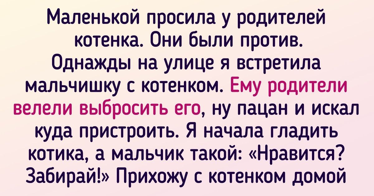 20+ котиков, которые получили шанс изменить свою жизнь и схватились за него всеми лапами 20+ котиков, которые получили шанс изменить свою жизнь и схватились за него всеми лапами