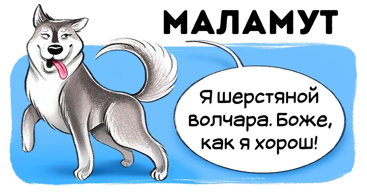 Честный гид по породам собак от первого лица (Часть 2-я) Честный гид по породам собак от первого лица (Часть 2-я)