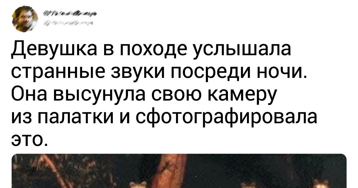 20+ человек, чей день отправился прямо под откос 20+ человек, чей день отправился прямо под откос