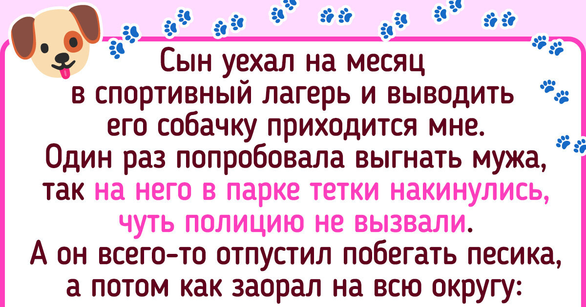 20+ питомцев, чьи клички хозяева выбирали с большой фантазией 20+ питомцев, чьи клички хозяева выбирали с большой фантазией
