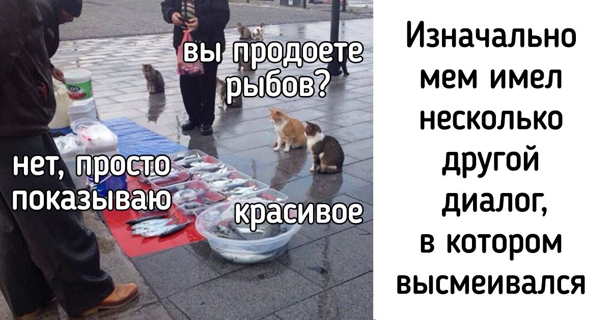 10 крутых мемов, которые мы видели повсюду, но до сих пор не знали их историю