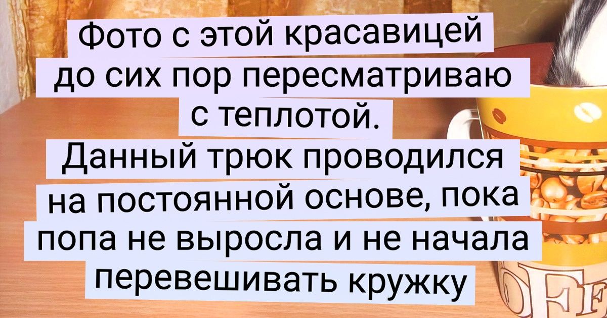 15 животных, которые с легкостью уделают по части мимимишности ваших котиков да собачек