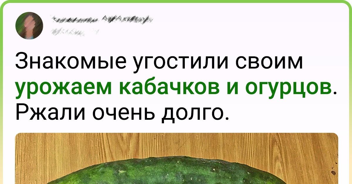 20+ человек, которые все лето горбатились ради урожая. Но к такому их жизнь не готовила