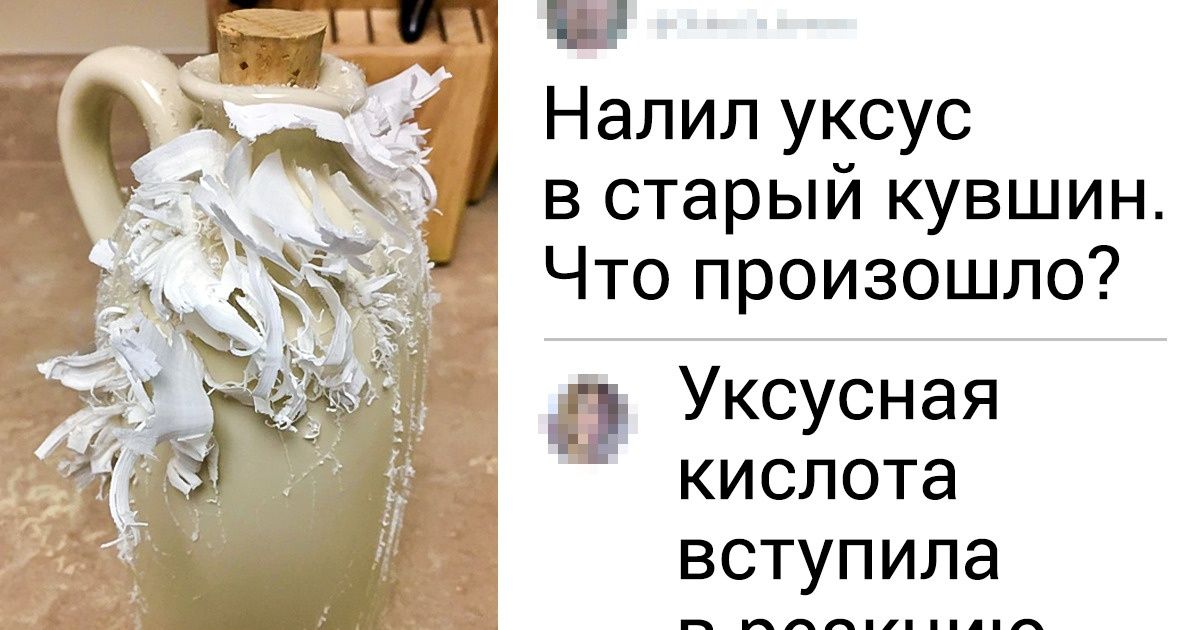 20+ фотографий, которые отлично смотрелись бы в научных учебниках 20+ фотографий, которые отлично смотрелись бы в научных учебниках