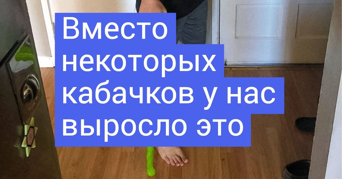 20+ фотодоказательств того, что жизнь садоводов и огородников полна приключений и неожиданностей 20+ фотодоказательств того, что жизнь садоводов и огородников полна приключений и неожиданностей
