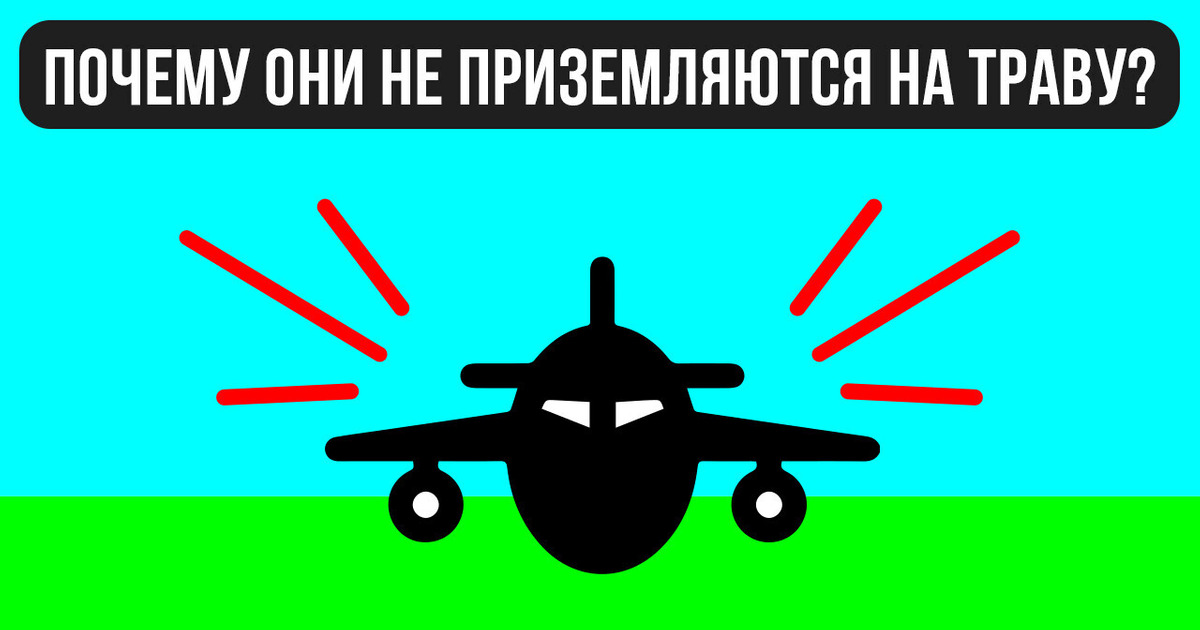 Почему самолеты никогда не садятся на траву и еще 9 удивительных фактов