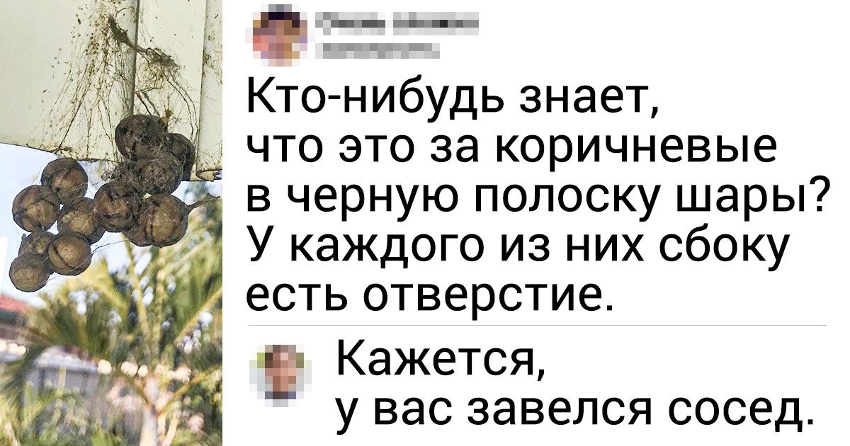 13 находок, которые так и остались бы загадкой, если бы не всезнающий интернет 13 находок, которые так и остались бы загадкой, если бы не всезнающий интернет