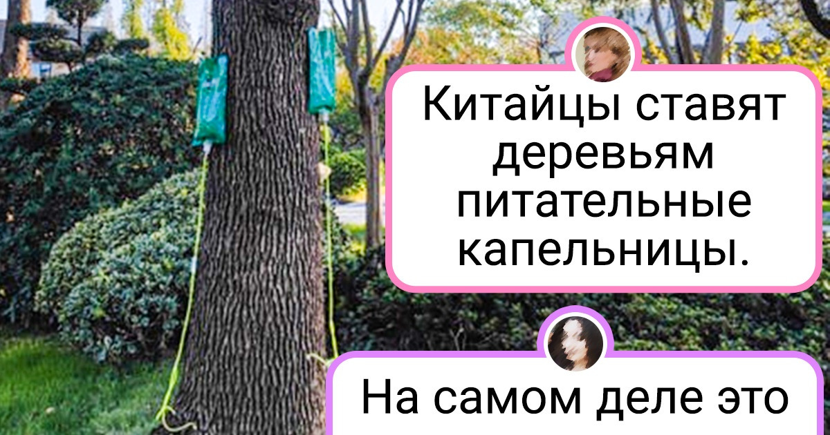 17 снимков из Китая, на которых для местных нет ничего особенного. А у наших людей точно глаза на лоб полезут 17 снимков из Китая, на которых для местных нет ничего особенного. А у наших людей точно глаза на лоб полезут