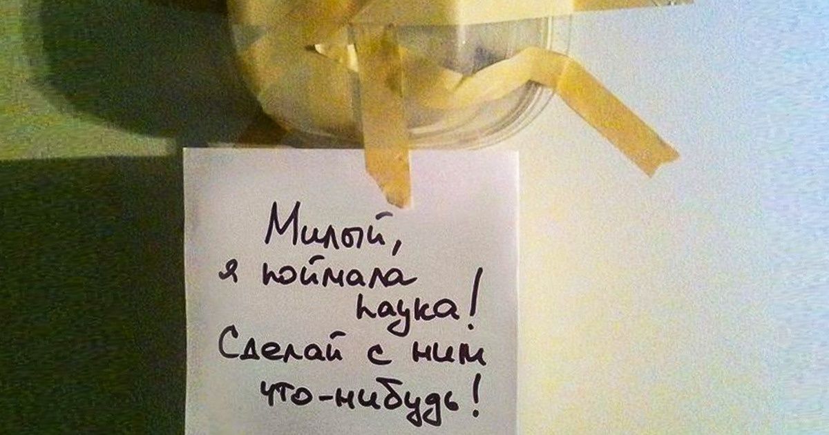 19 фото о том, что жизнь после свадьбы — еще то веселье