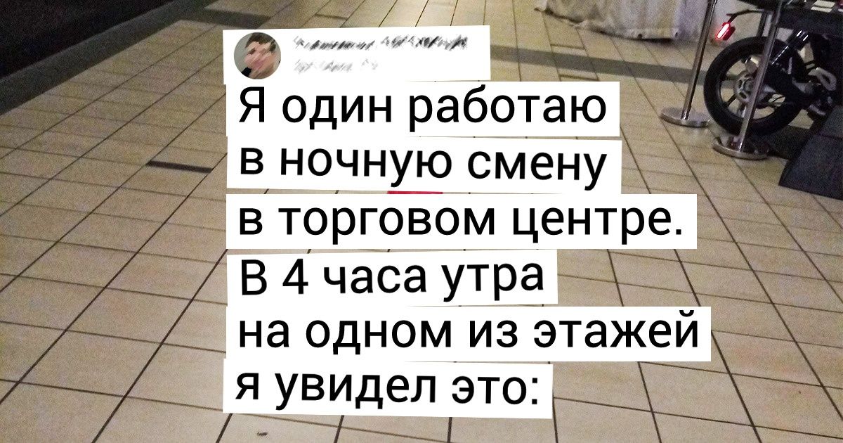 16 доказательств того, что в магазине можно увидеть что-то покруче, чем консервы по акции 16 доказательств того, что в магазине можно увидеть что-то покруче, чем консервы по акции
