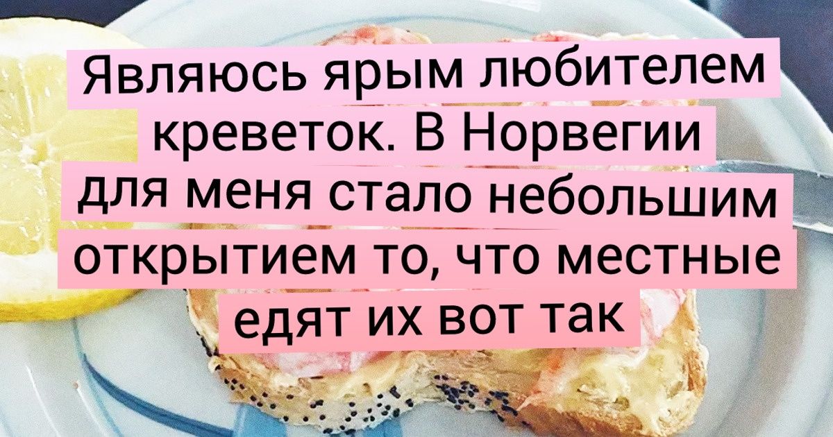 18 фото из Норвегии, при виде которых не знаешь, то ли восторгаться, то ли почесать затылок 18 фото из Норвегии, при виде которых не знаешь, то ли восторгаться, то ли почесать затылок